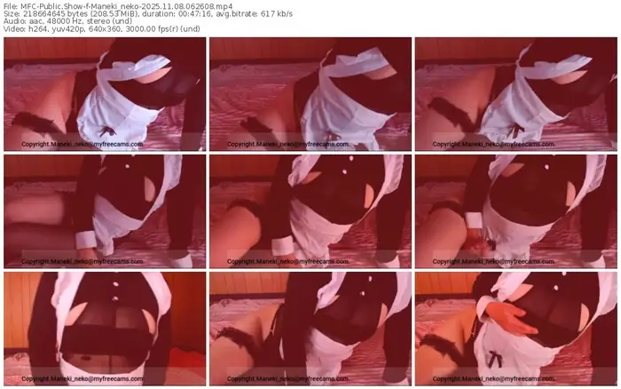 2025/11/08/mfc-maneki_neko-06-26-08