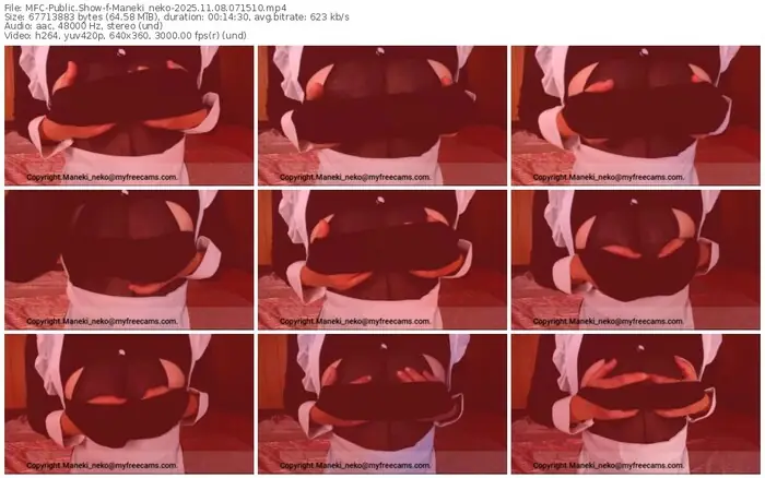 2025/11/08/mfc-maneki_neko-07-15-10