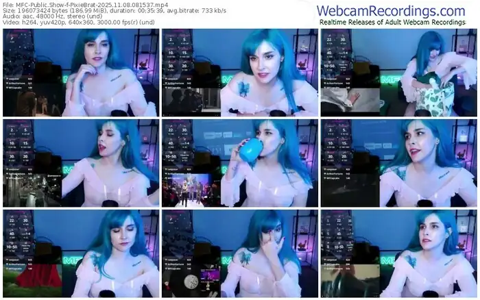 2025/11/08/mfc-pixiebrat-08-15-37