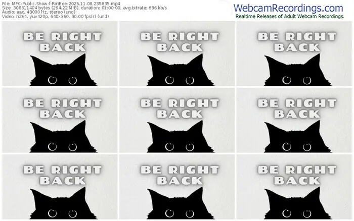 2025/11/08/mfc-riribee-23-58-35