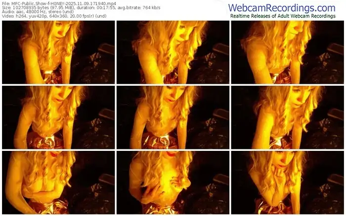 2025/11/09/mfc-h0ney-17-19-40