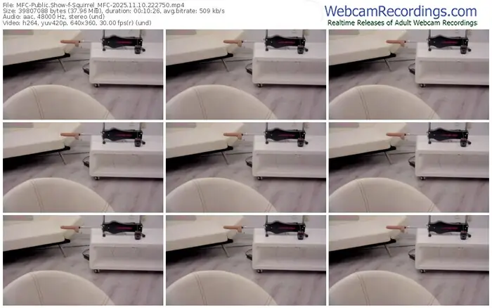 2025/11/10/mfc-squirrel_mfc-22-27-50