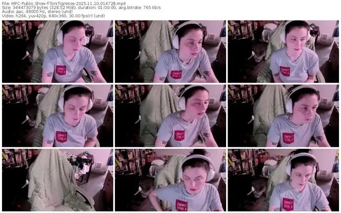 2025/11/10/mfc-tonitigresse-01-47-28