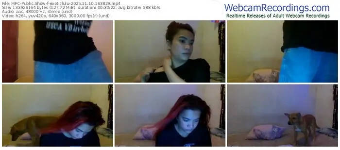 2025/11/10/mfc-exoticlulu-16-38-29