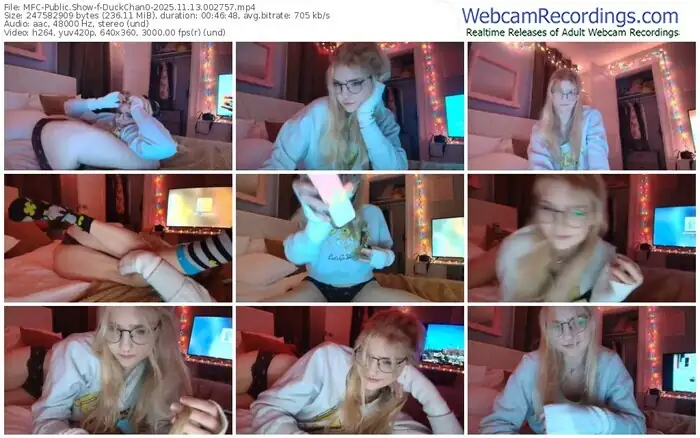 2025/11/13/mfc-duckchan0-00-27-57