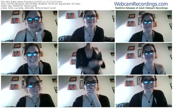 2025/11/13/mfc-harley0_0-17-27-27