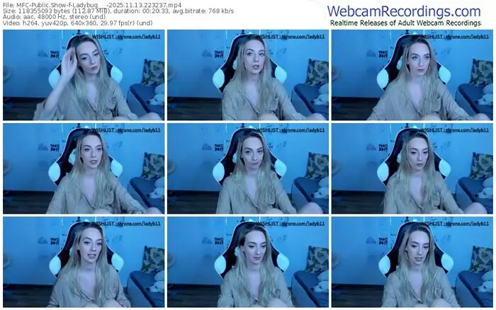 2025/11/13/mfc-ladybug___-22-32-37