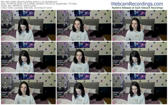 2025/11/13/mfc-lilypoly-22-29-28