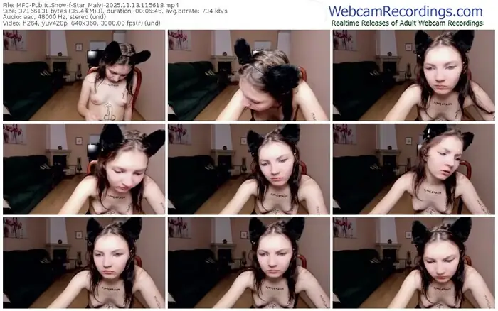 2025/11/13/mfc-star_malvi-11-56-18