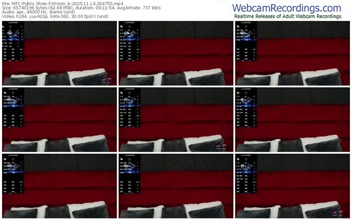 2025/11/14/mfc-minion_a-20-47-55