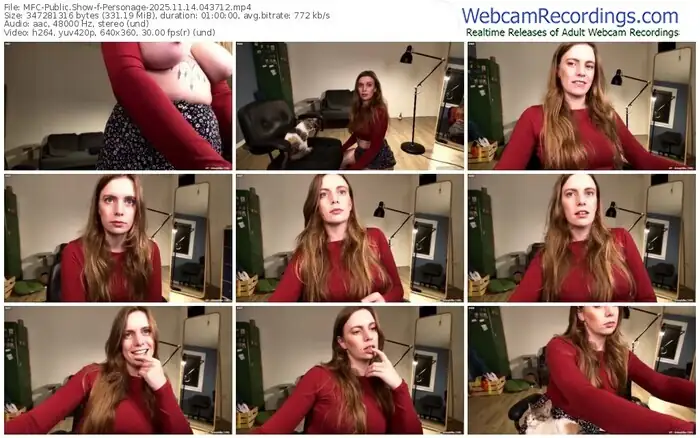 2025/11/14/mfc-personage-04-37-12