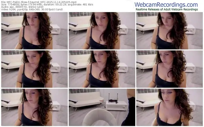 2025/11/14/mfc-squirrel_mfc-20-52-25