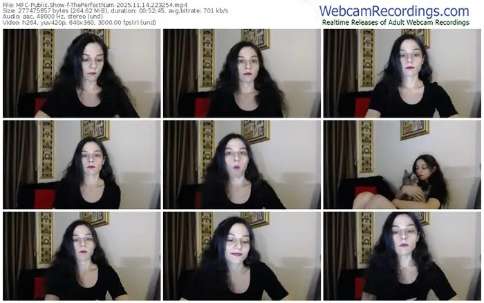 2025/11/14/mfc-theperfectnam-22-32-54