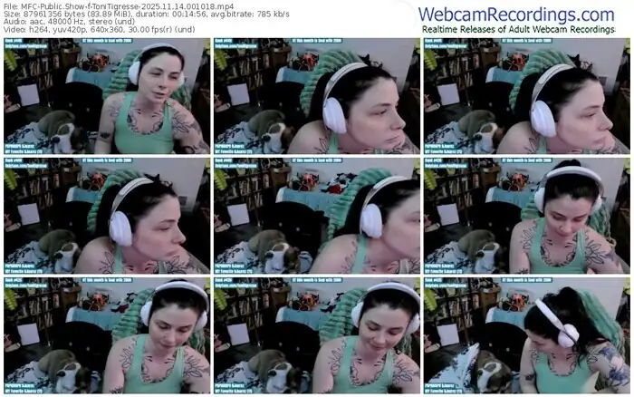 2025/11/14/mfc-tonitigresse-00-10-18