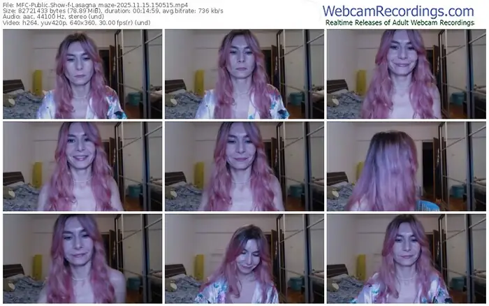 2025/11/15/mfc-lasagna_maze-15-05-15