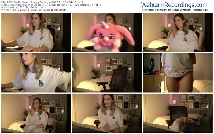 2025/11/16/mfc-happyendings_-03-44-15