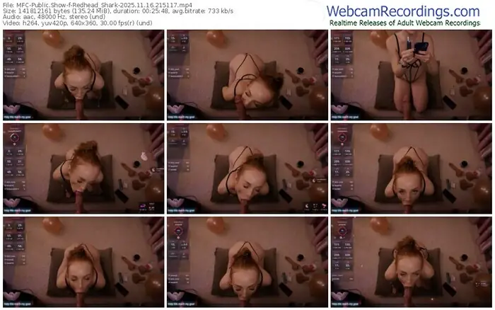 2025/11/16/mfc-redhead_shark-21-51-17