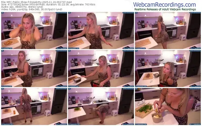 2025/11/16/mfc-snowkitty-00-27-07