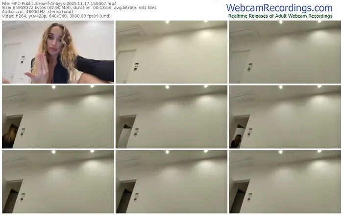 2025/11/17/mfc-anayys-15-50-07