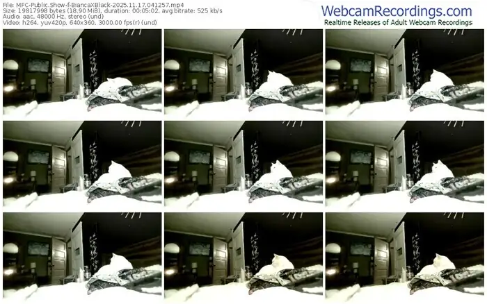 2025/11/17/mfc-biancaxblack-04-12-57