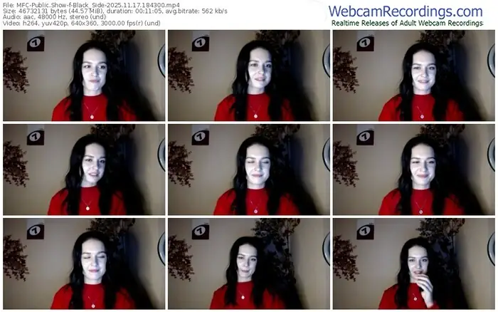 2025/11/17/mfc-black_side-18-43-00