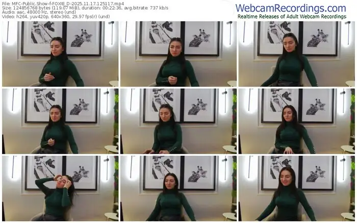 2025/11/17/mfc-foxie_d-12-51-17