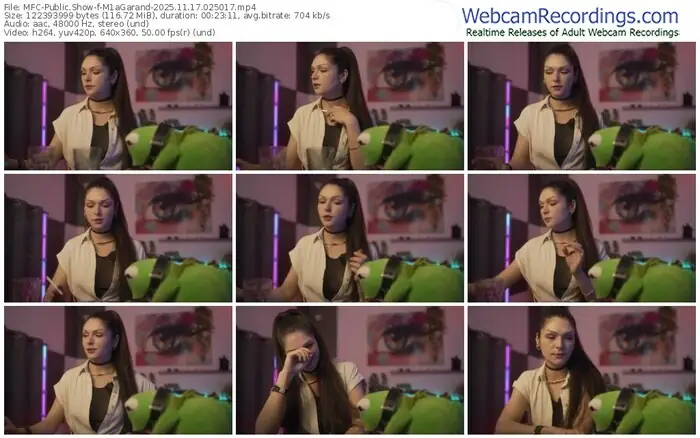 2025/11/17/mfc-m1agarand-02-50-17