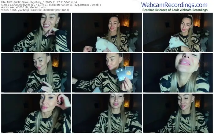 2025/11/17/mfc-mystery_c-21-50-45