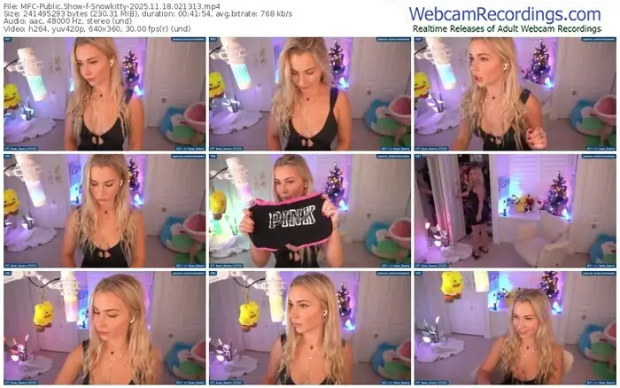 2025/11/18/mfc-snowkitty-02-13-13