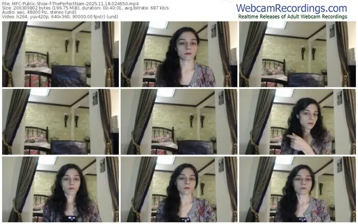 2025/11/18/mfc-theperfectnam-02-46-50