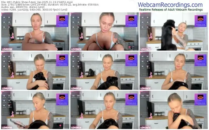 2025/11/19/mfc-aaa_yas-15-46-51