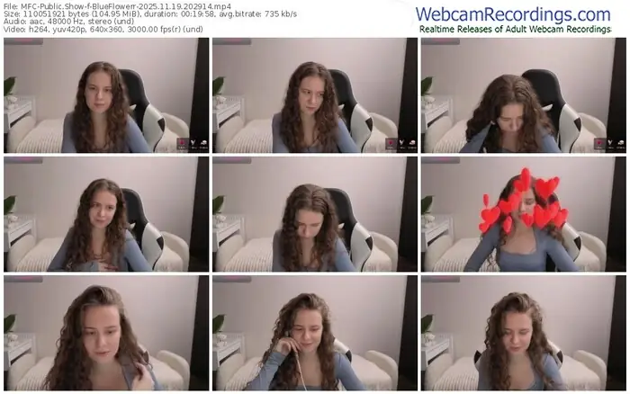 2025/11/19/mfc-blueflowerr-20-29-14