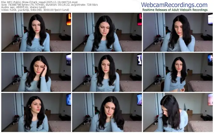 2025/11/19/mfc-dark_head-08-37-16