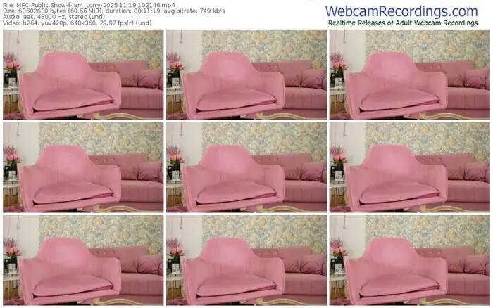 2025/11/19/mfc-iam_lorry-10-21-46