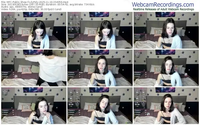 2025/11/19/mfc-lilypoly-15-40-59