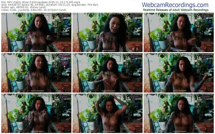 2025/11/19/mfc-slimsaydeee-17-13-45