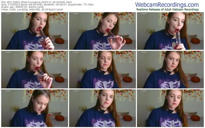 2025/11/20/mfc-lunalinz-02-34-41