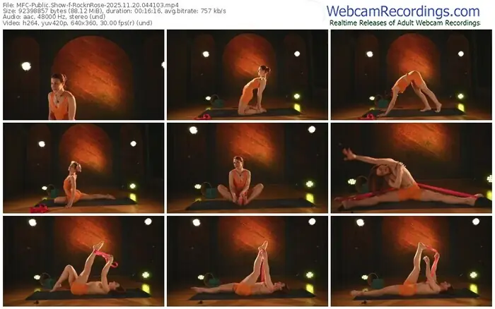 2025/11/20/mfc-rocknrose-04-41-03