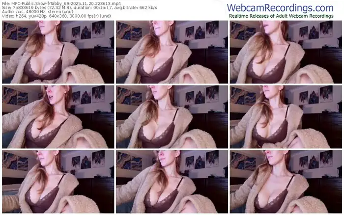 2025/11/20/mfc-tabby_69-22-36-13