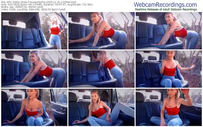 2025/11/21/mfc-yourguiltypus-12-29-44