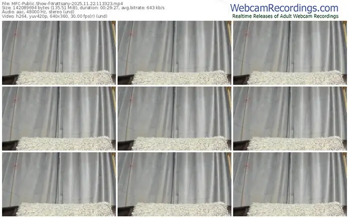 2025/11/22/mfc-wattsany-11-33-23