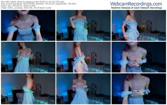 2025/11/23/mfc-lasagna_maze-22-17-05