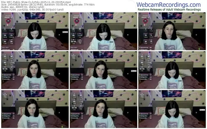 2025/11/23/mfc-lilypoly-23-03-54