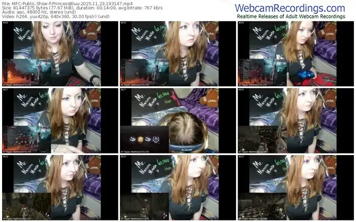 2025/11/23/mfc-princessbluu-19-31-47