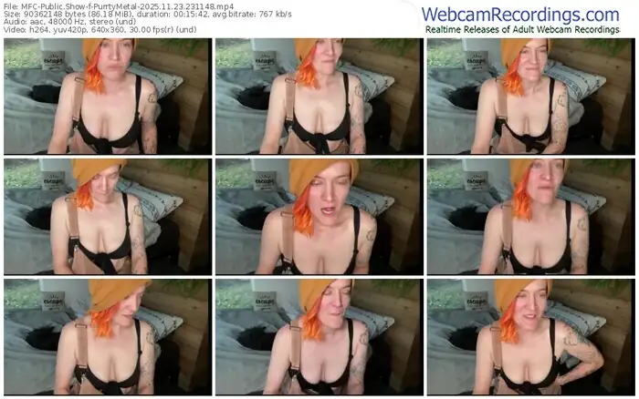 2025/11/23/mfc-purrtymetal-23-11-48