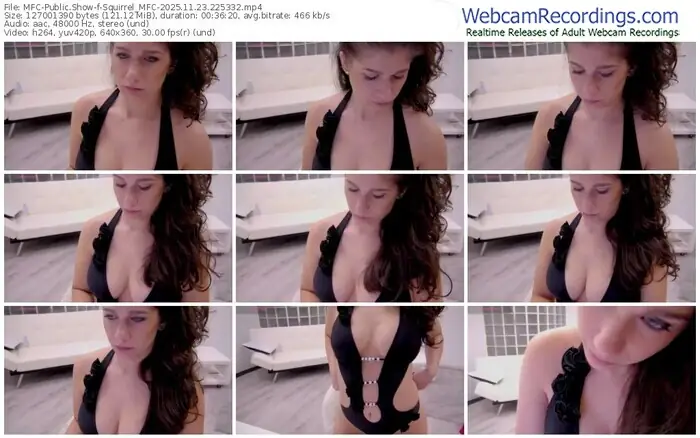 2025/11/23/mfc-squirrel_mfc-22-53-32