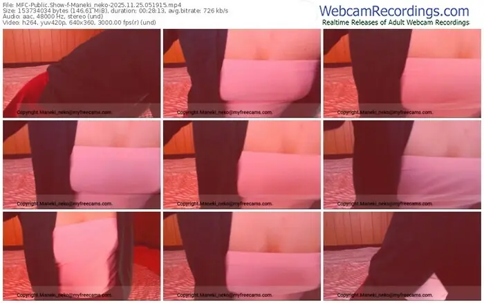 2025/11/25/mfc-maneki_neko-05-19-15