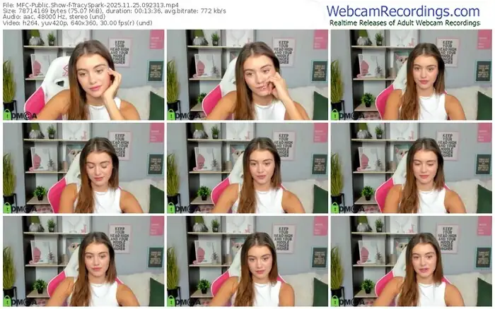 2025/11/25/mfc-tracyspark-09-23-13