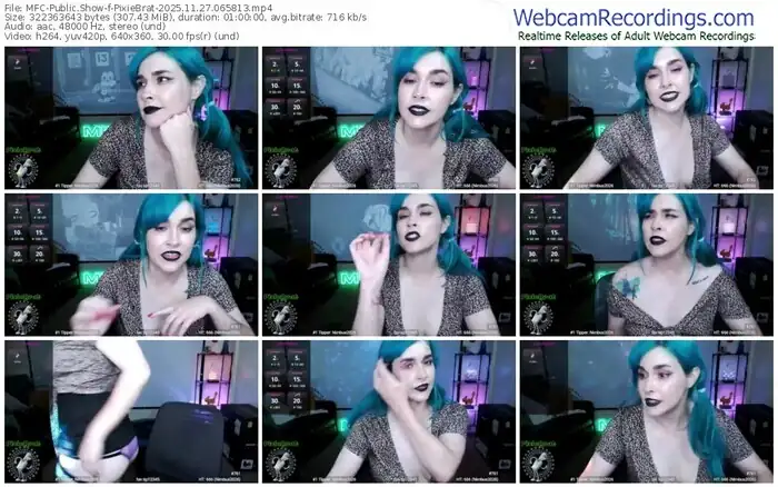 2025/11/27/mfc-pixiebrat-06-58-13