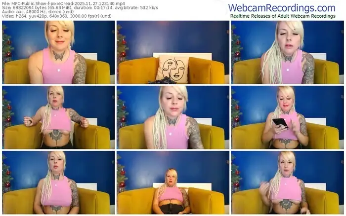 2025/11/27/mfc-pixiedread-12-31-40